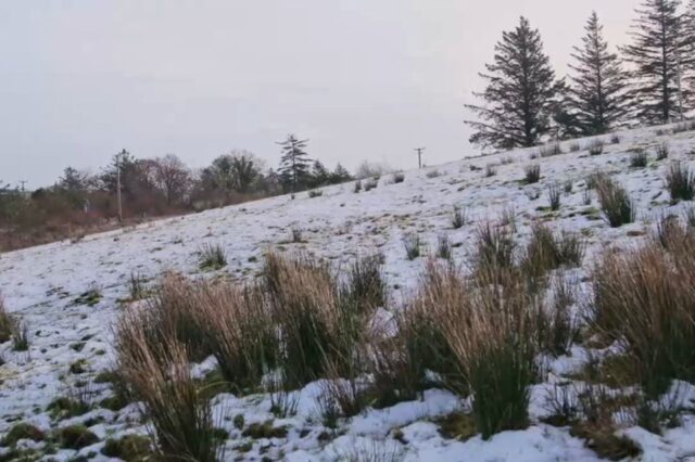 寒潮+降雪！爱尔兰迎极寒天气！今晚最低气温降至-4℃